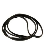 455920011 Outer Door Glass Seal